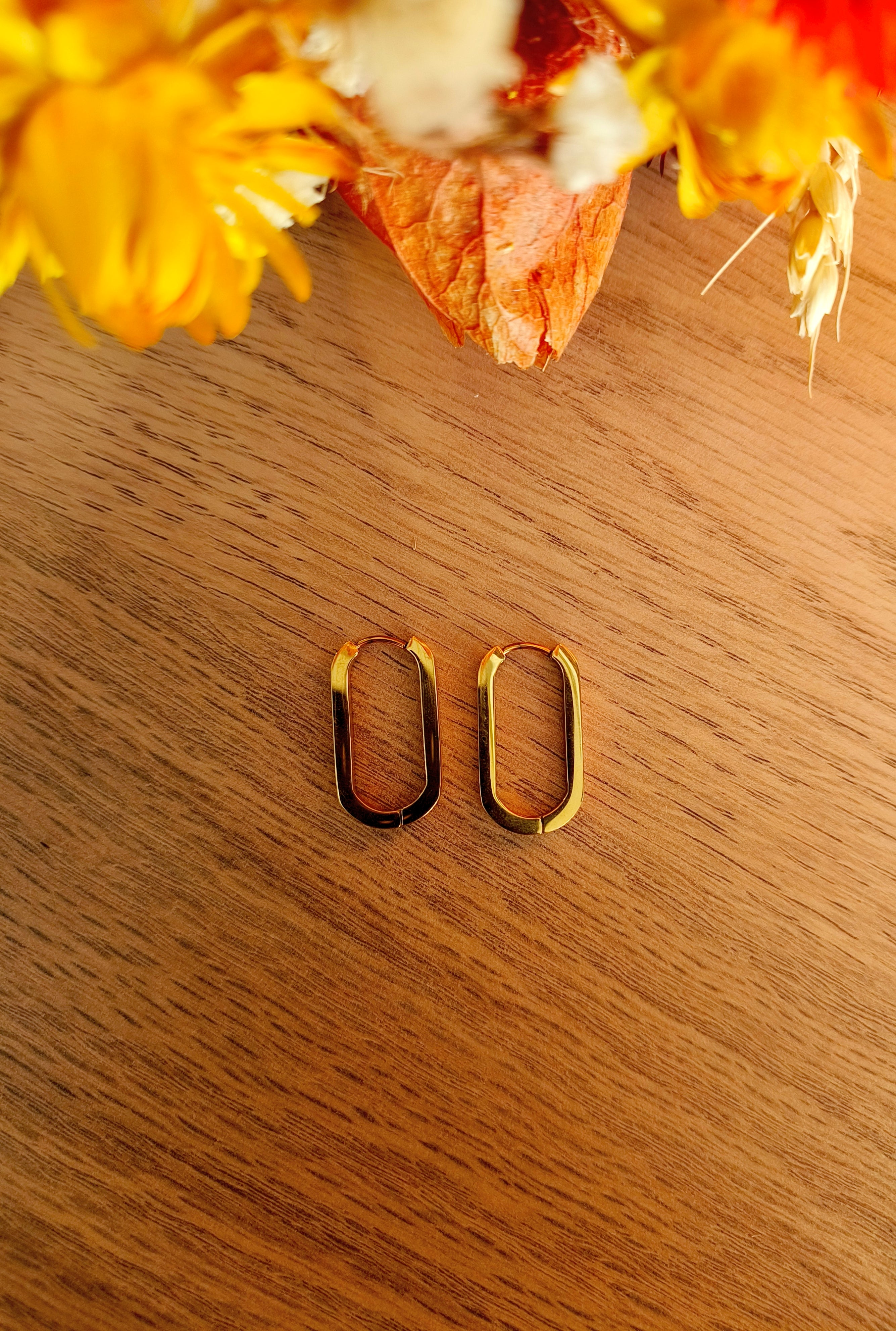 Créoles Ovales Aplaties