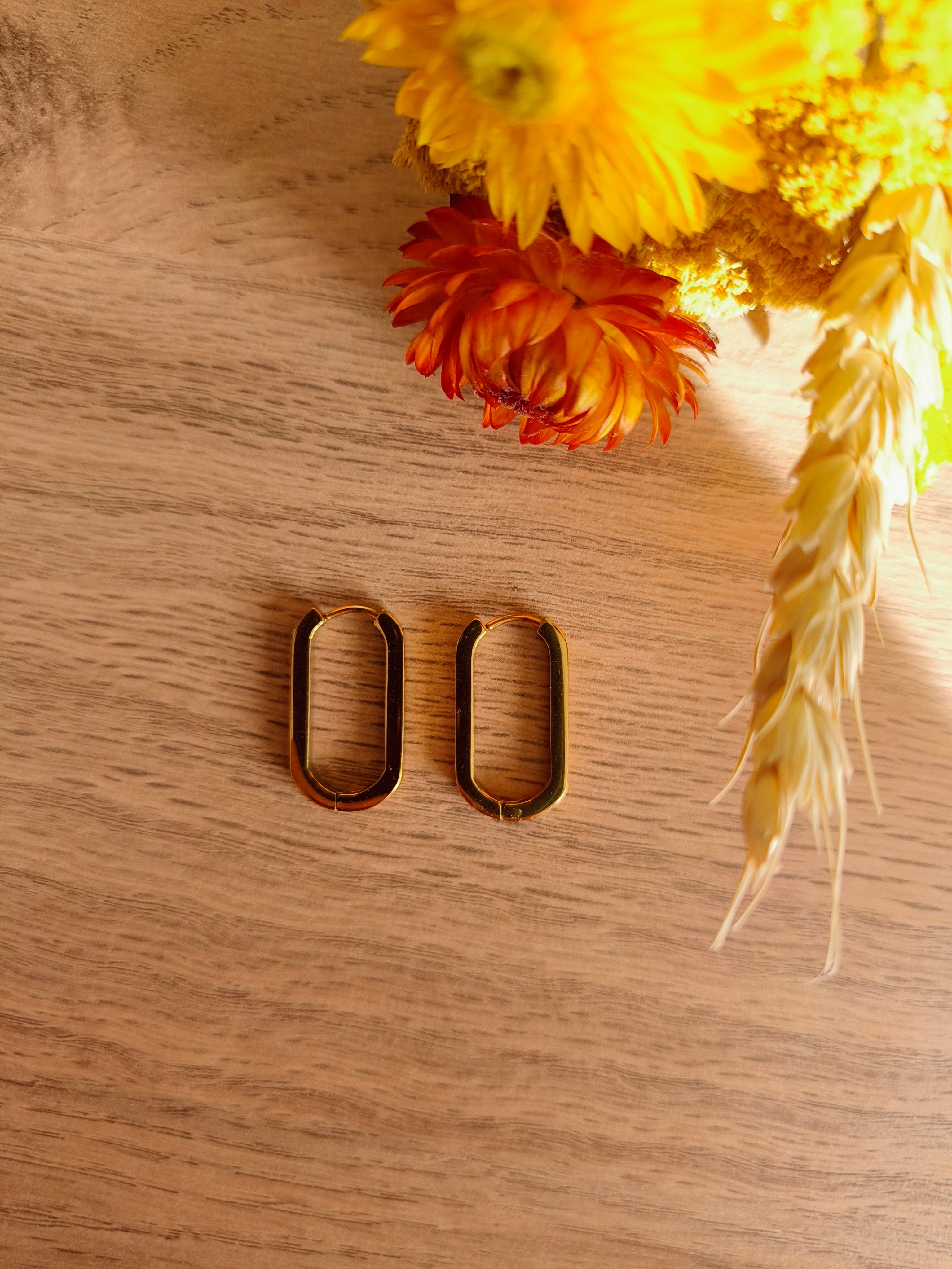 Créoles Ovales Aplaties